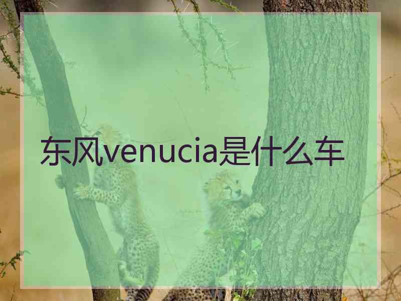 东风venucia是什么车