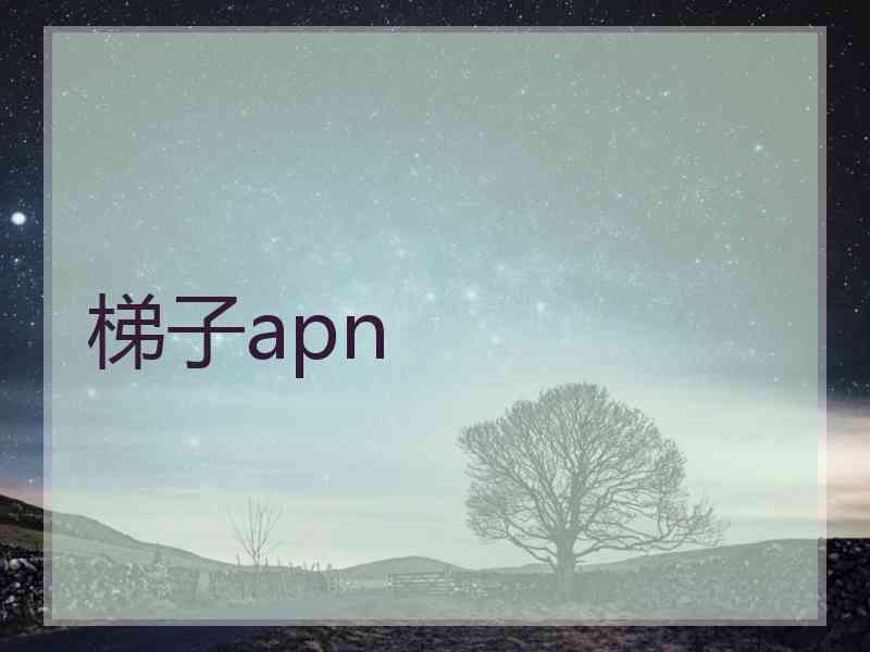 梯子apn