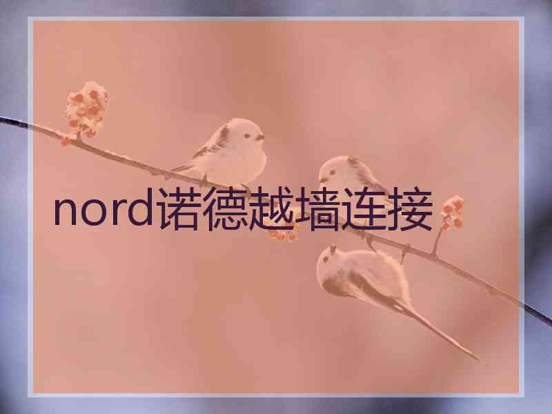 nord诺德越墙连接