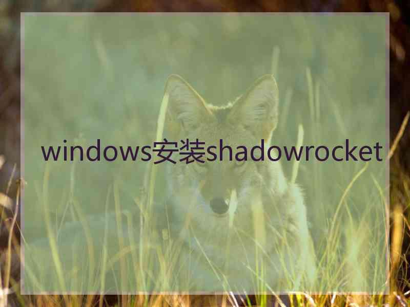 windows安装shadowrocket