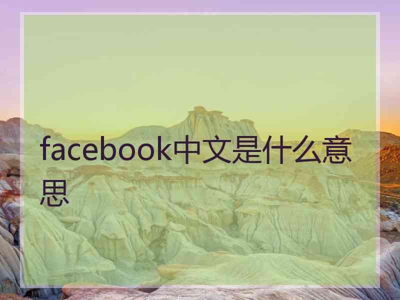 facebook中文是什么意思