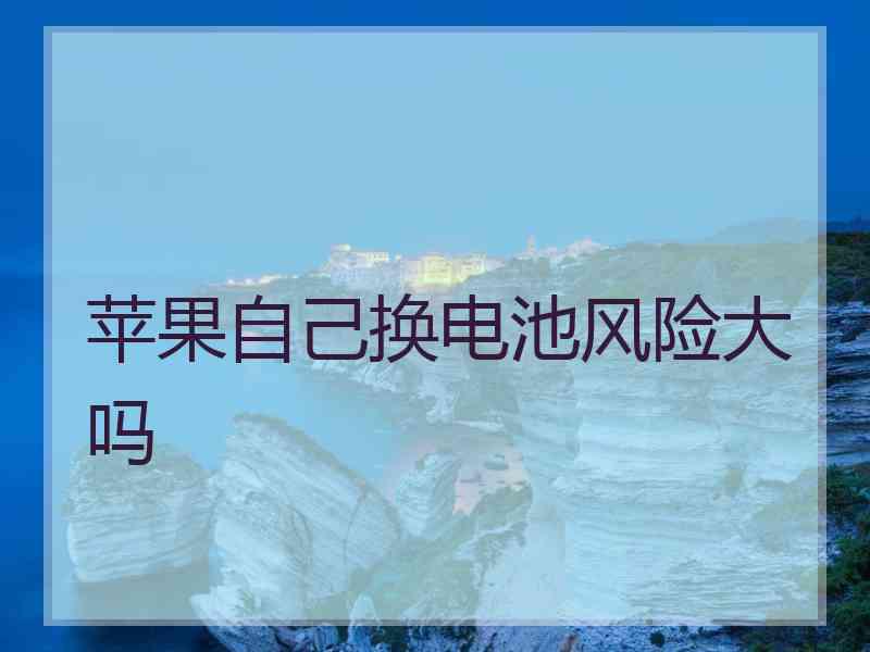 苹果自己换电池风险大吗