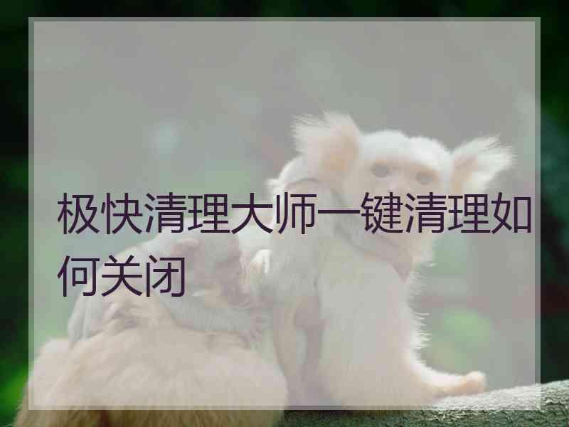 极快清理大师一键清理如何关闭