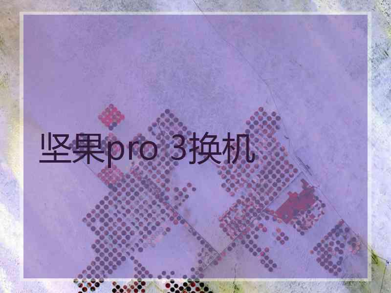 坚果pro 3换机