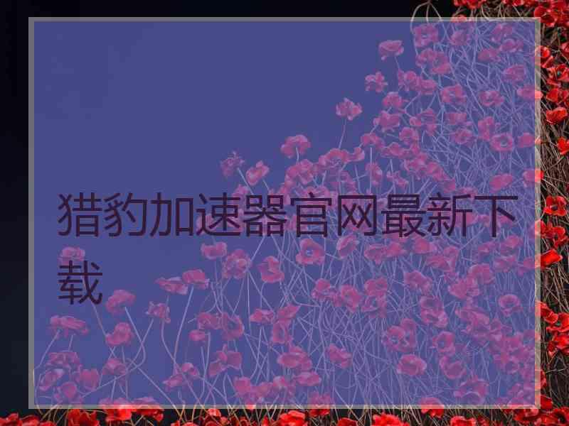 猎豹加速器官网最新下载