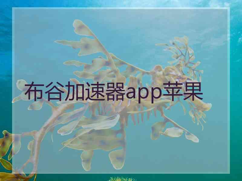 布谷加速器app苹果