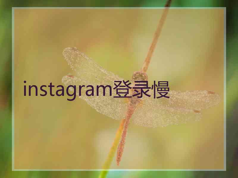 instagram登录慢