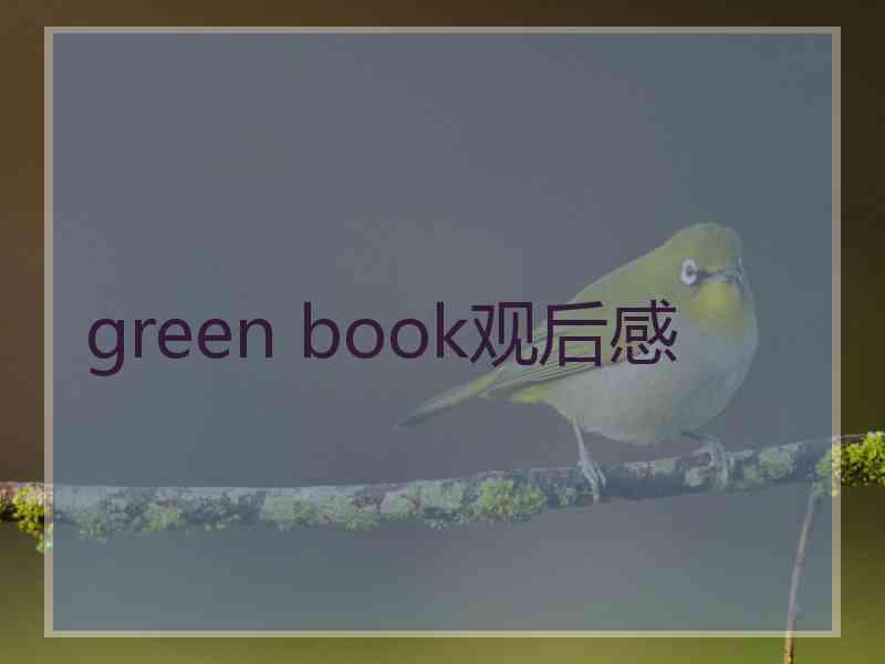 green book观后感