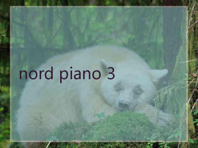 nord piano 3