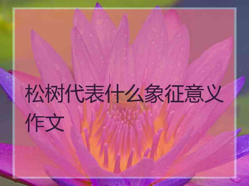 松树代表什么象征意义作文