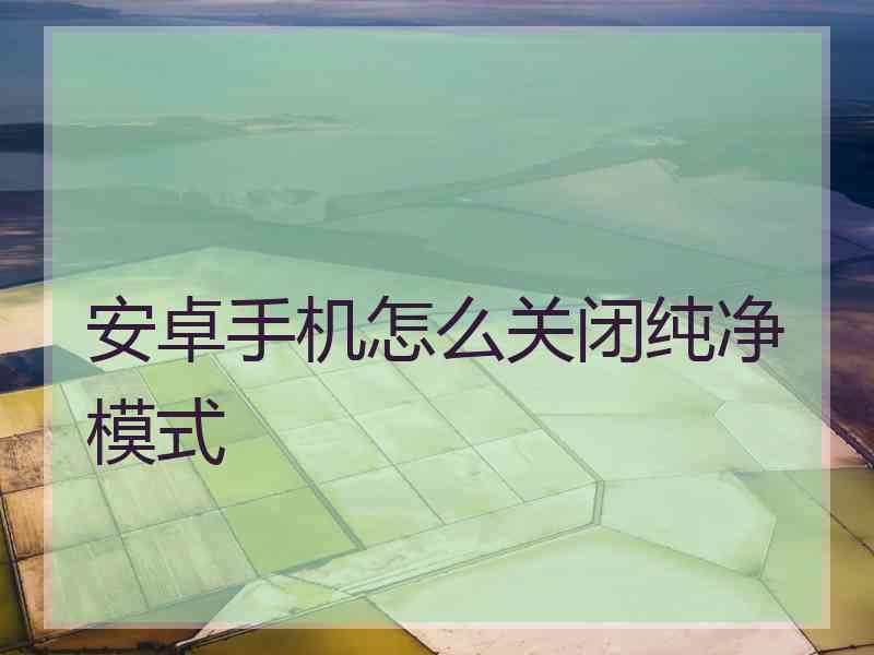 安卓手机怎么关闭纯净模式