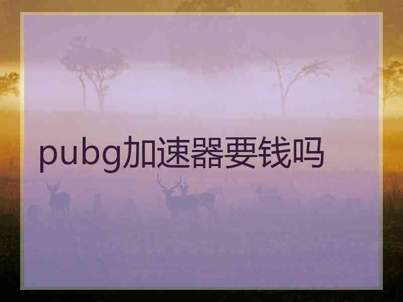 pubg加速器要钱吗