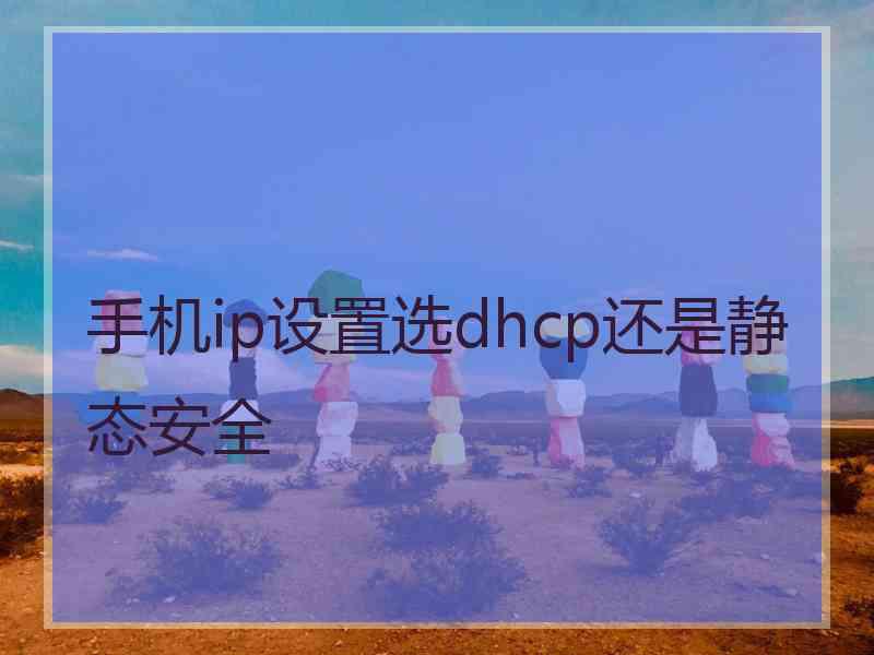 手机ip设置选dhcp还是静态安全