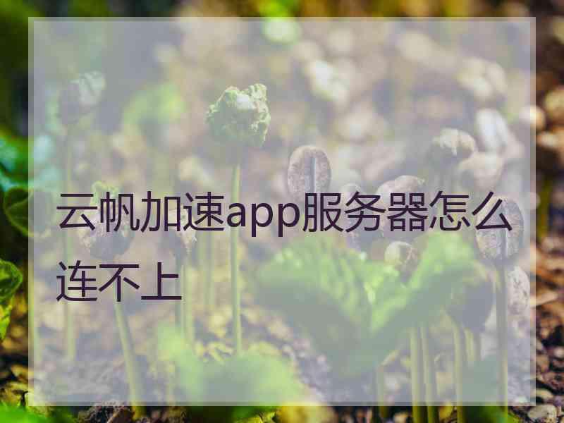 云帆加速app服务器怎么连不上