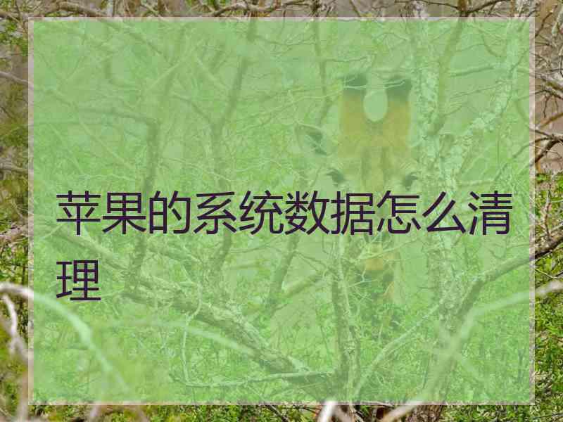 苹果的系统数据怎么清理