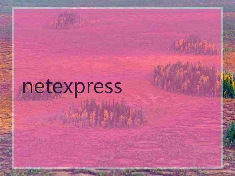 netexpress