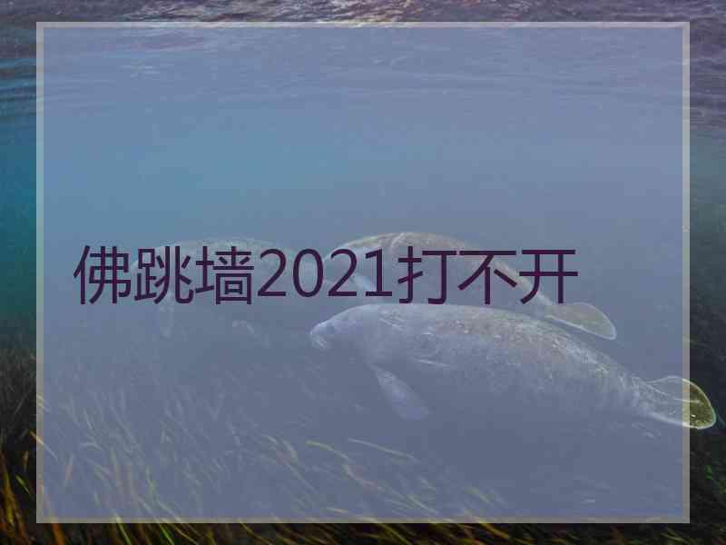 佛跳墙2021打不开