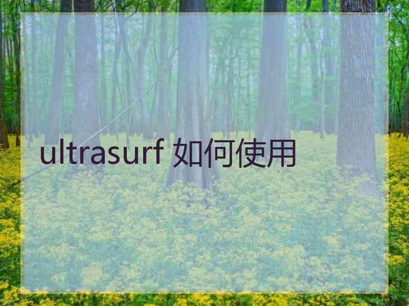 ultrasurf 如何使用