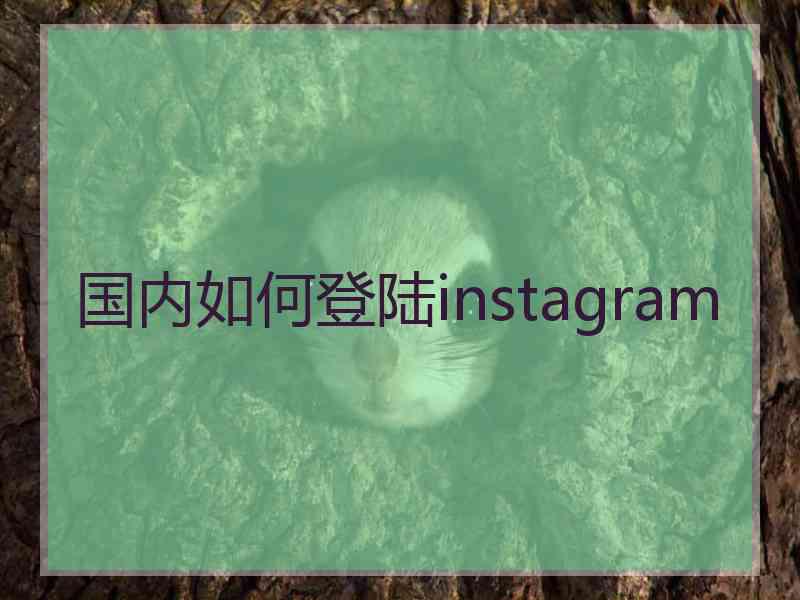 国内如何登陆instagram