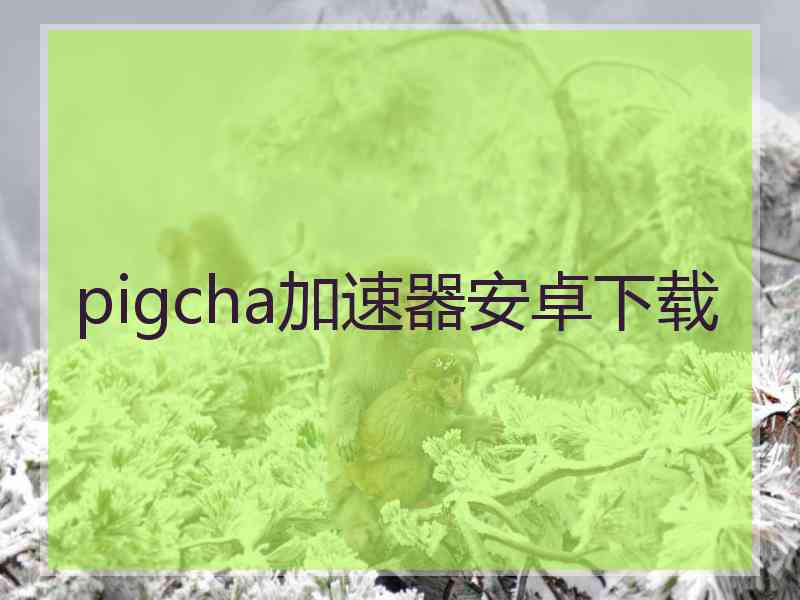 pigcha加速器安卓下载