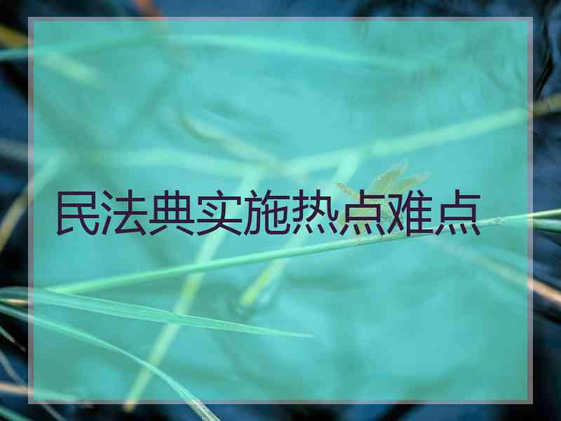 民法典实施热点难点