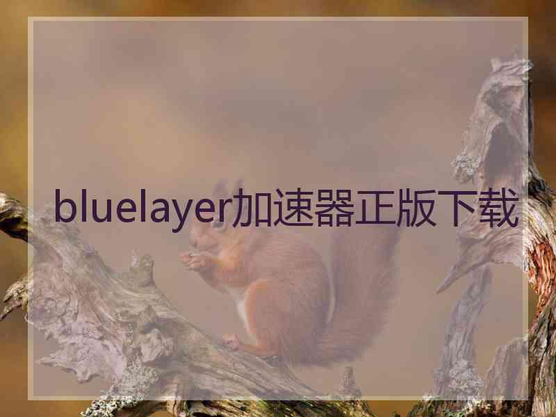 bluelayer加速器正版下载