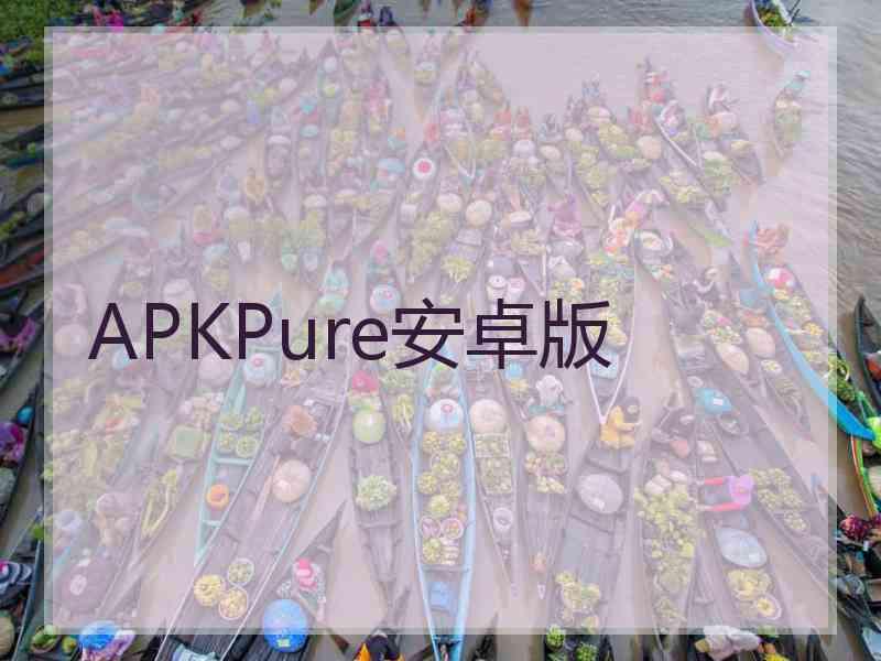 APKPure安卓版