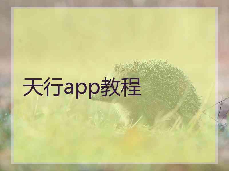 天行app教程