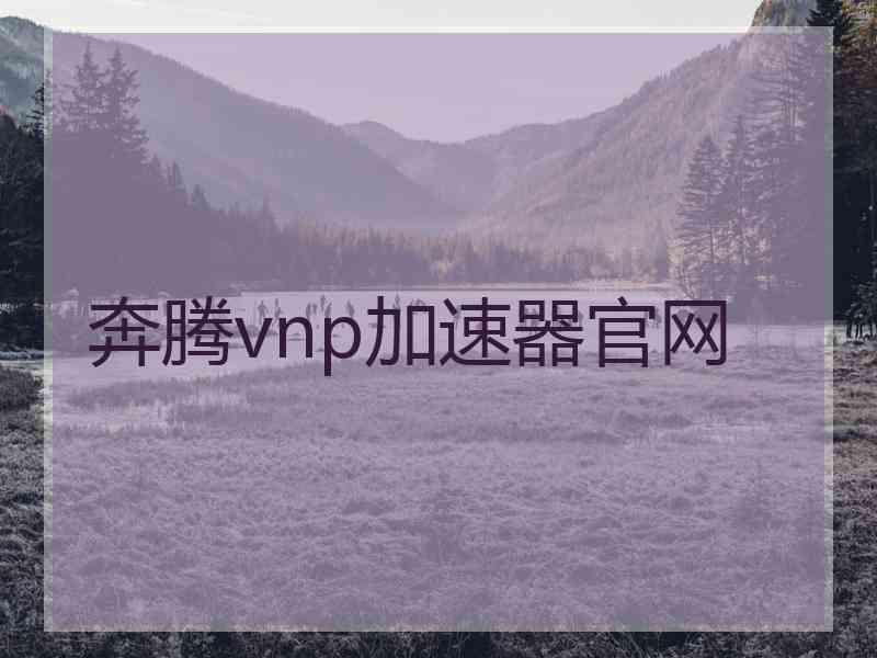 奔腾vnp加速器官网