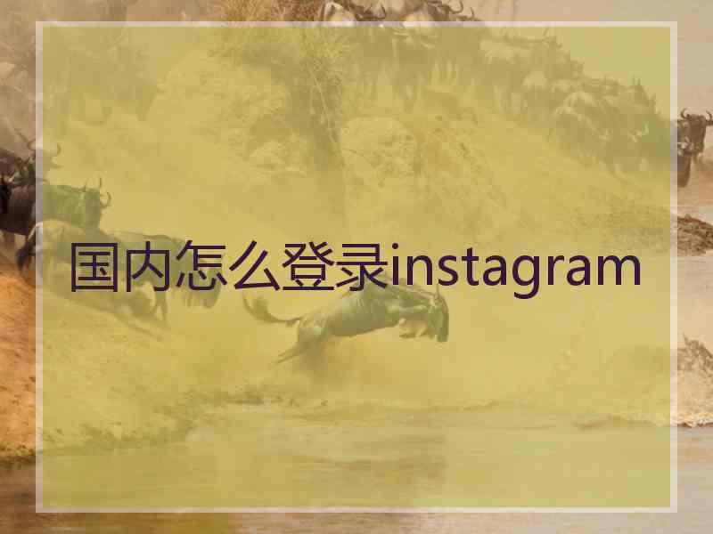 国内怎么登录instagram