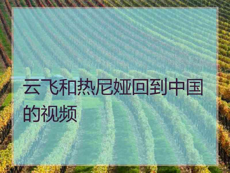 云飞和热尼娅回到中国的视频