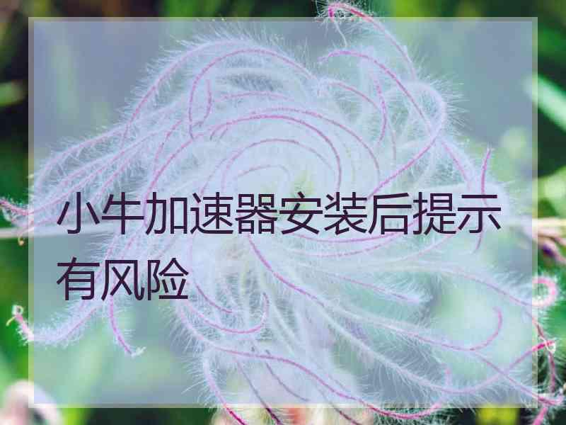 小牛加速器安装后提示有风险