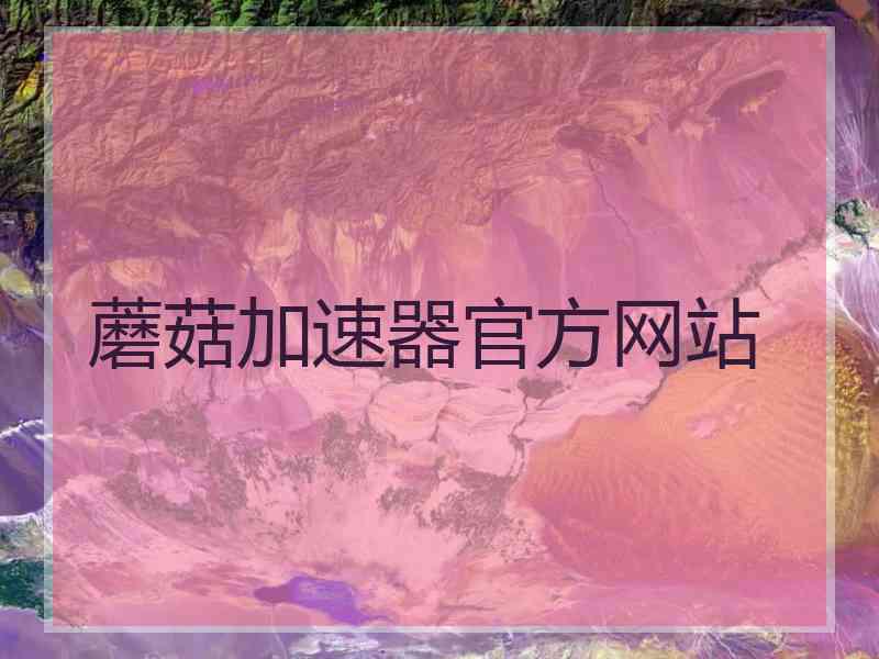 蘑菇加速器官方网站