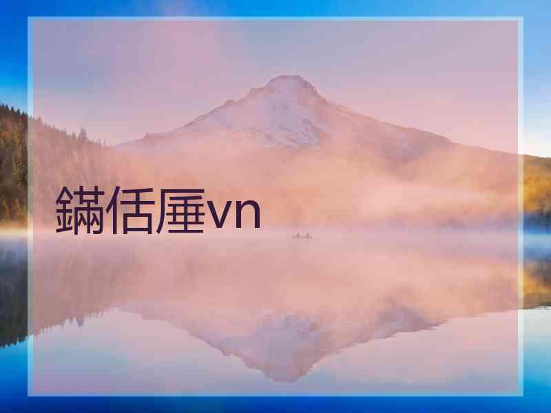 鏋佸厜vn