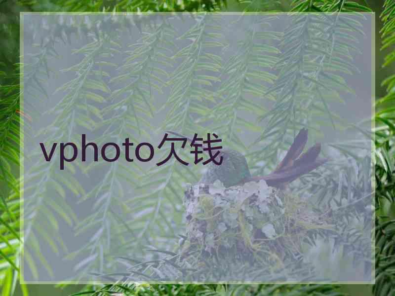 vphoto欠钱