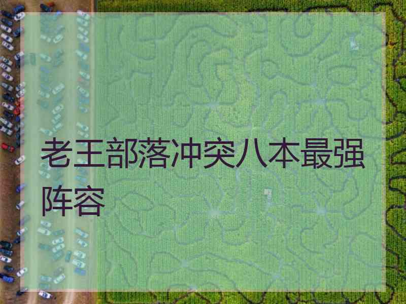 老王部落冲突八本最强阵容