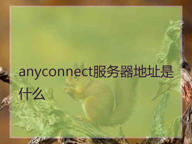 anyconnect服务器地址是什么