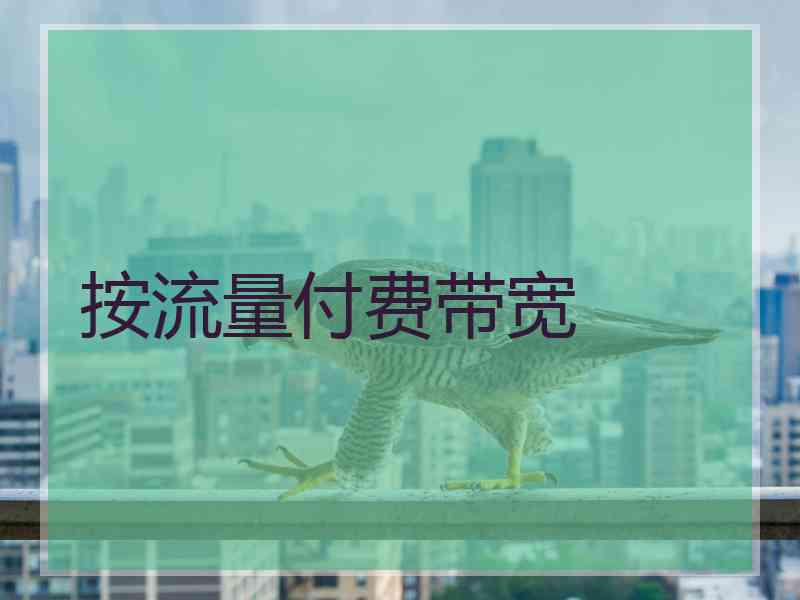 按流量付费带宽