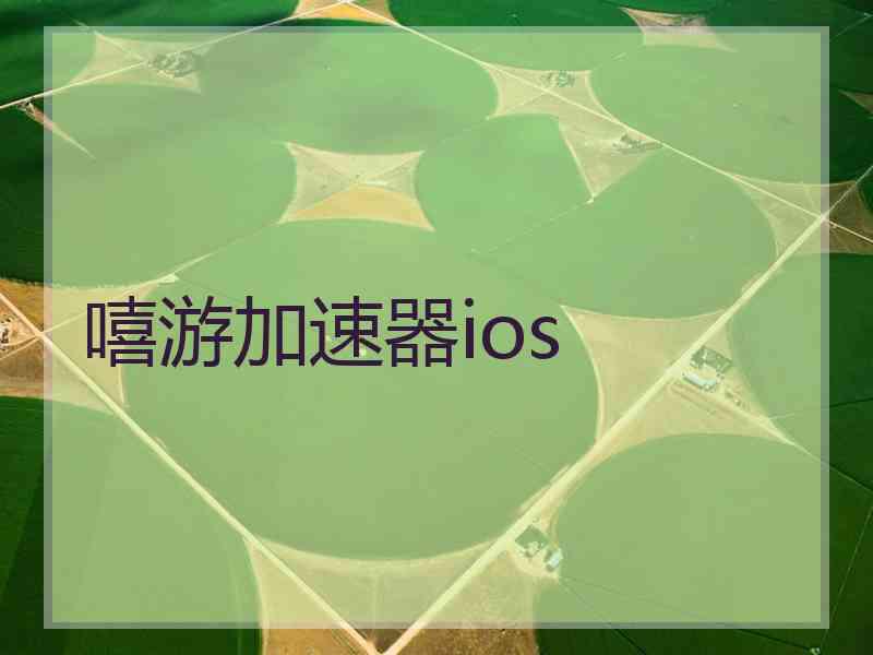 嘻游加速器ios