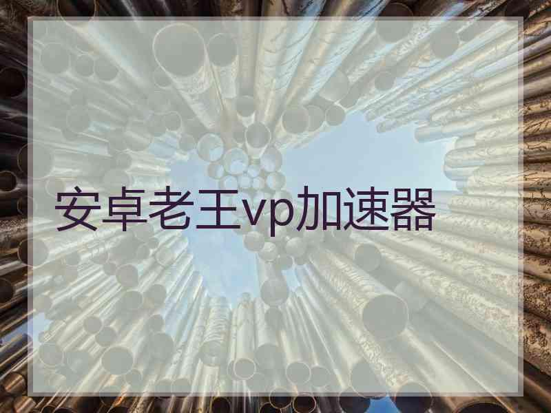 安卓老王vp加速器