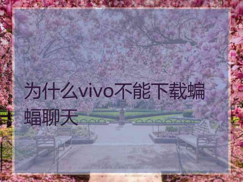 为什么vivo不能下载蝙蝠聊天