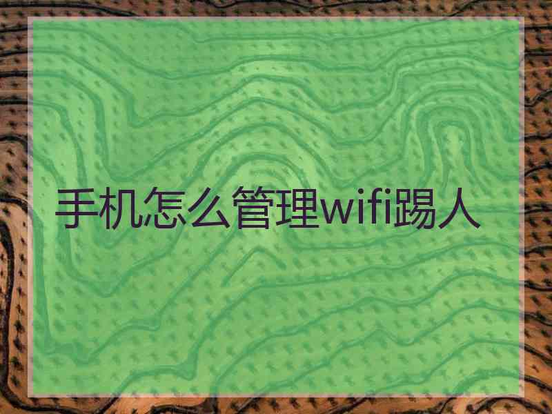 手机怎么管理wifi踢人