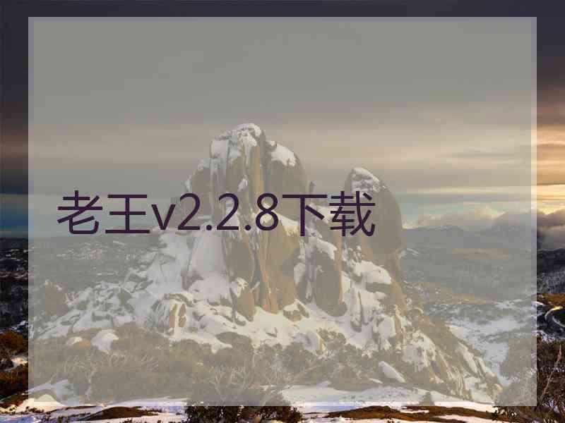 老王v2.2.8下载