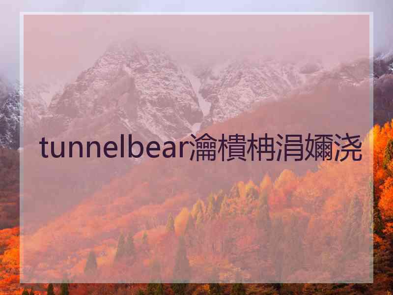 tunnelbear瀹樻柟涓嬭浇