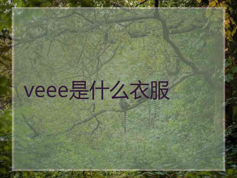 veee是什么衣服