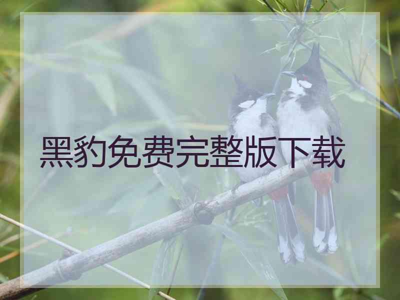 黑豹免费完整版下载