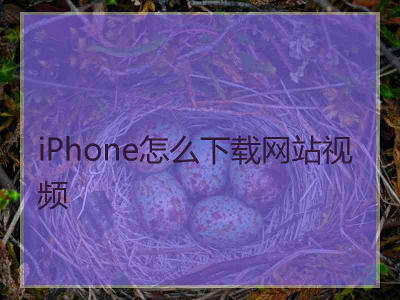 iPhone怎么下载网站视频