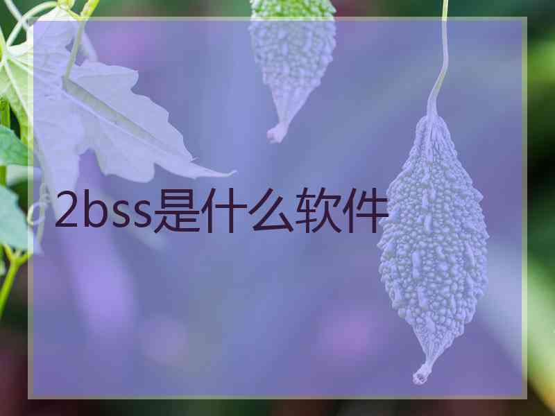 2bss是什么软件