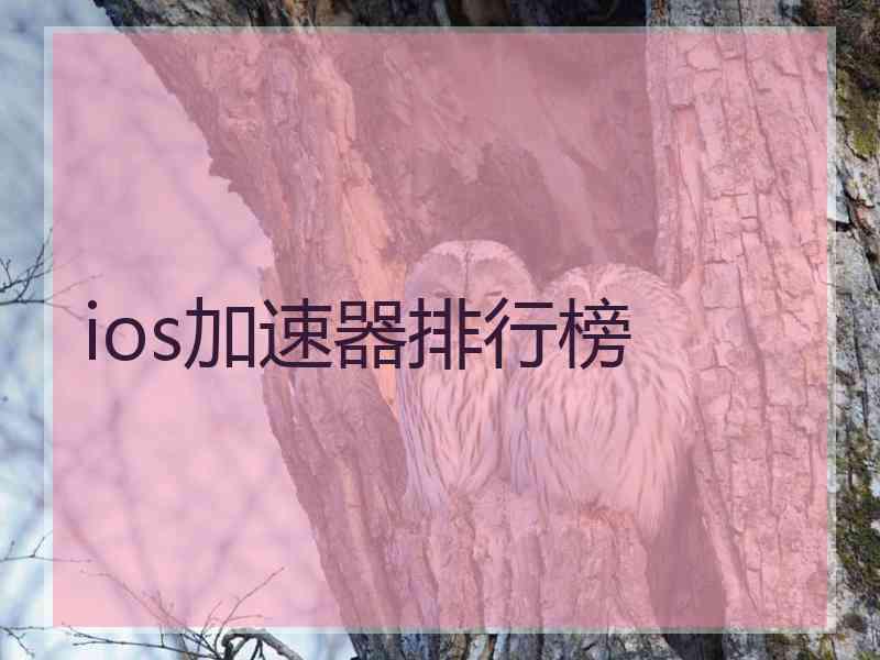 ios加速器排行榜