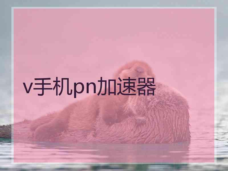 v手机pn加速器